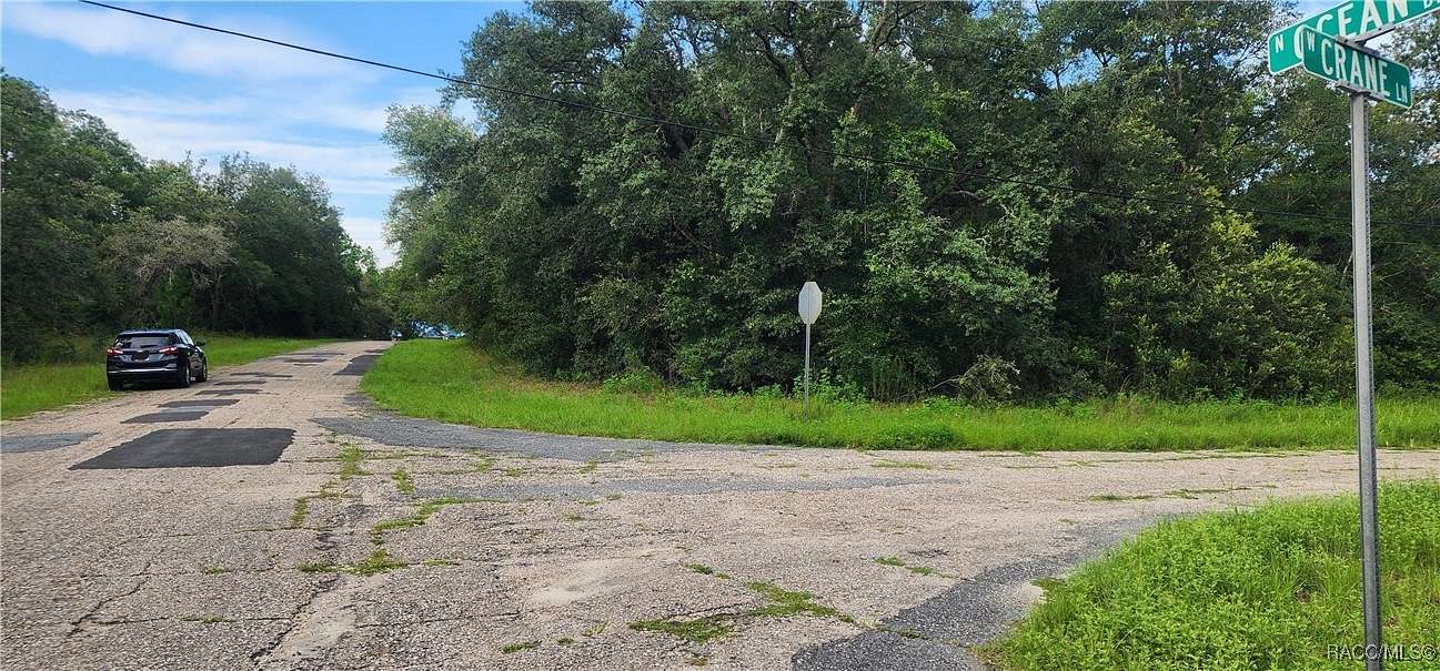 0.29 Acres of Residential Land for Sale in Citrus Springs, Florida