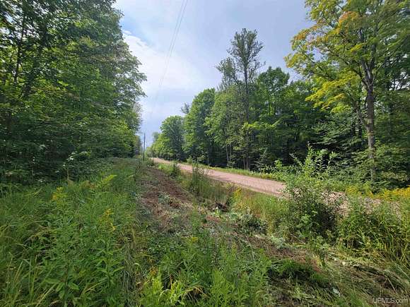 9.75 Acres of Land for Sale in Trout Creek, Michigan