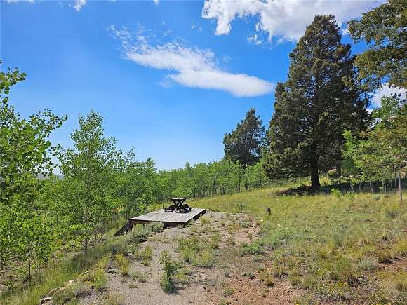 2.5 Acres of Residential Land for Sale in Fairplay, Colorado