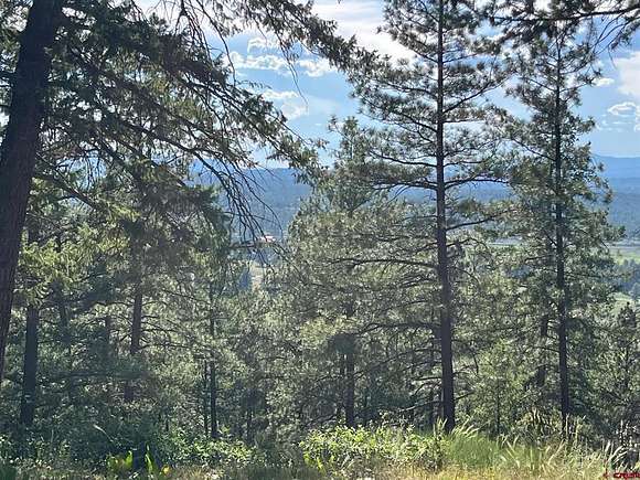 4.33 Acres of Residential Land for Sale in Pagosa Springs, Colorado