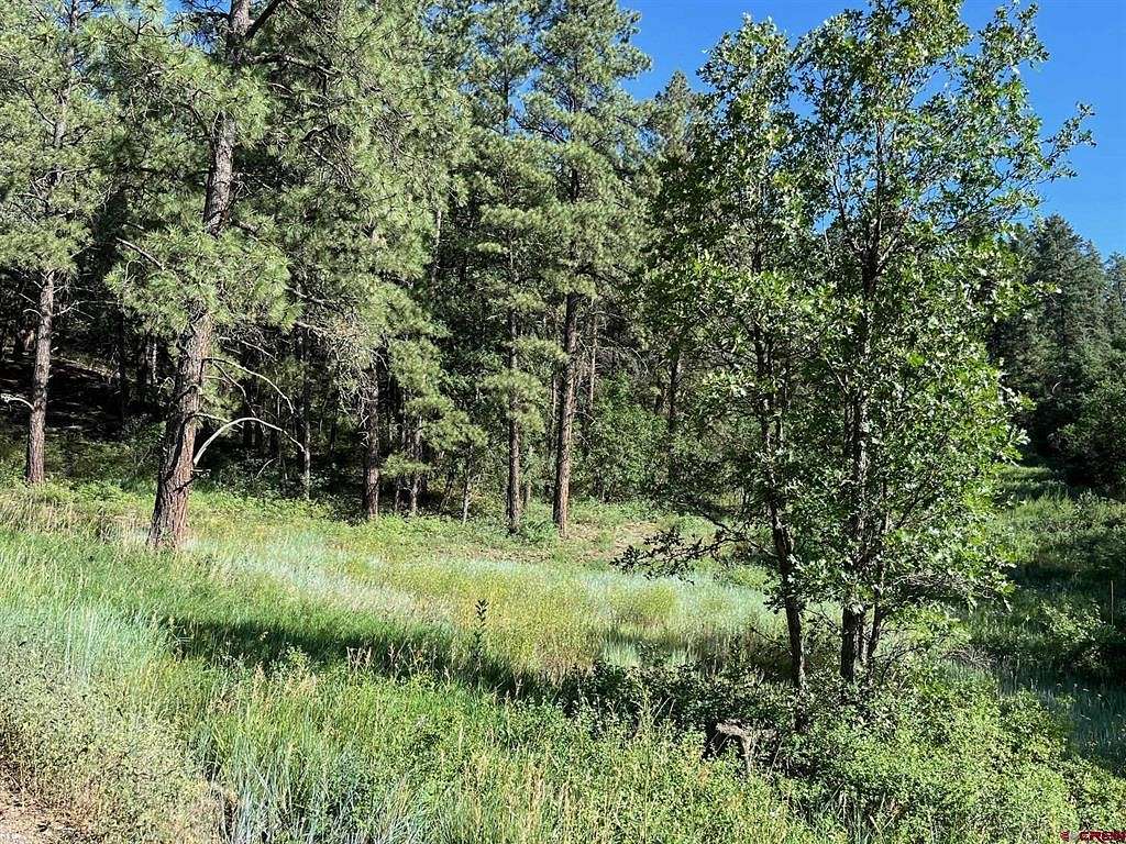 4.33 Acres of Residential Land for Sale in Pagosa Springs, Colorado