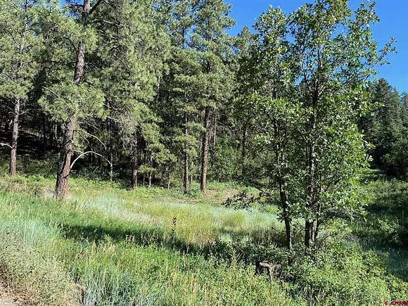 4.33 Acres of Residential Land for Sale in Pagosa Springs, Colorado