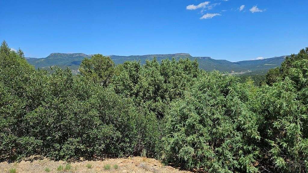 35.29 Acres of Agricultural Land for Sale in Trinidad, Colorado