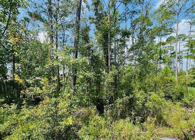 0.43 Acres of Residential Land for Sale in Wewahitchka, Florida