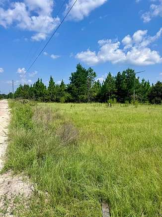 23.91 Acres of Agricultural Land for Sale in Hazlehurst, Georgia