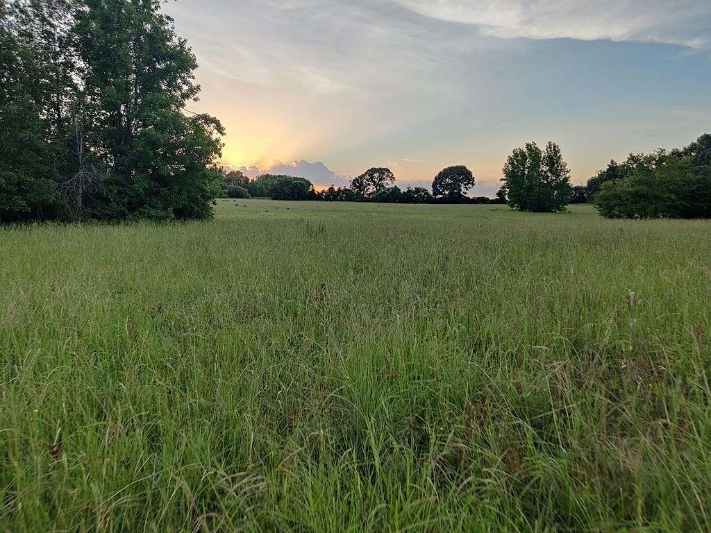 40.7 Acres of Agricultural Land for Sale in Tennessee Colony, Texas