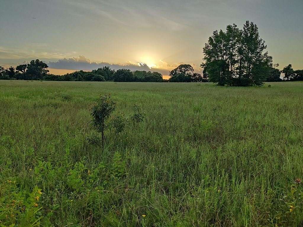 40.7 Acres of Agricultural & Residential Land for Sale in Tennessee Colony, Texas