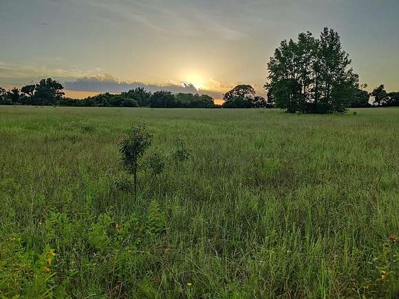 41 Acres of Agricultural Land for Sale in Tennessee Colony, Texas