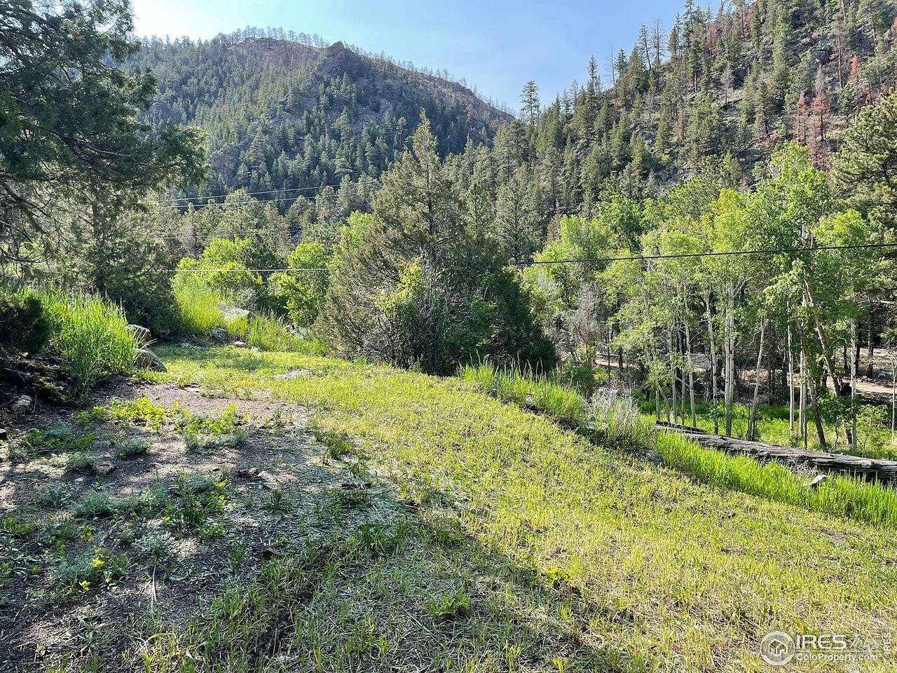 3.37 Acres of Land for Sale in Bellvue, Colorado