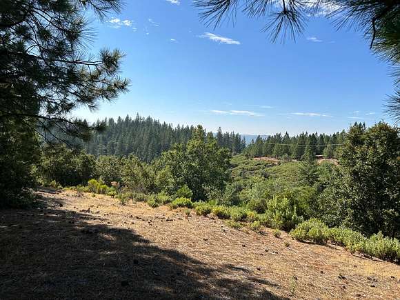 29.04 Acres of Land for Sale in Murphys, California