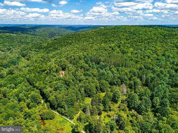 52.34 Acres of Recreational Land for Sale in Milanville, Pennsylvania