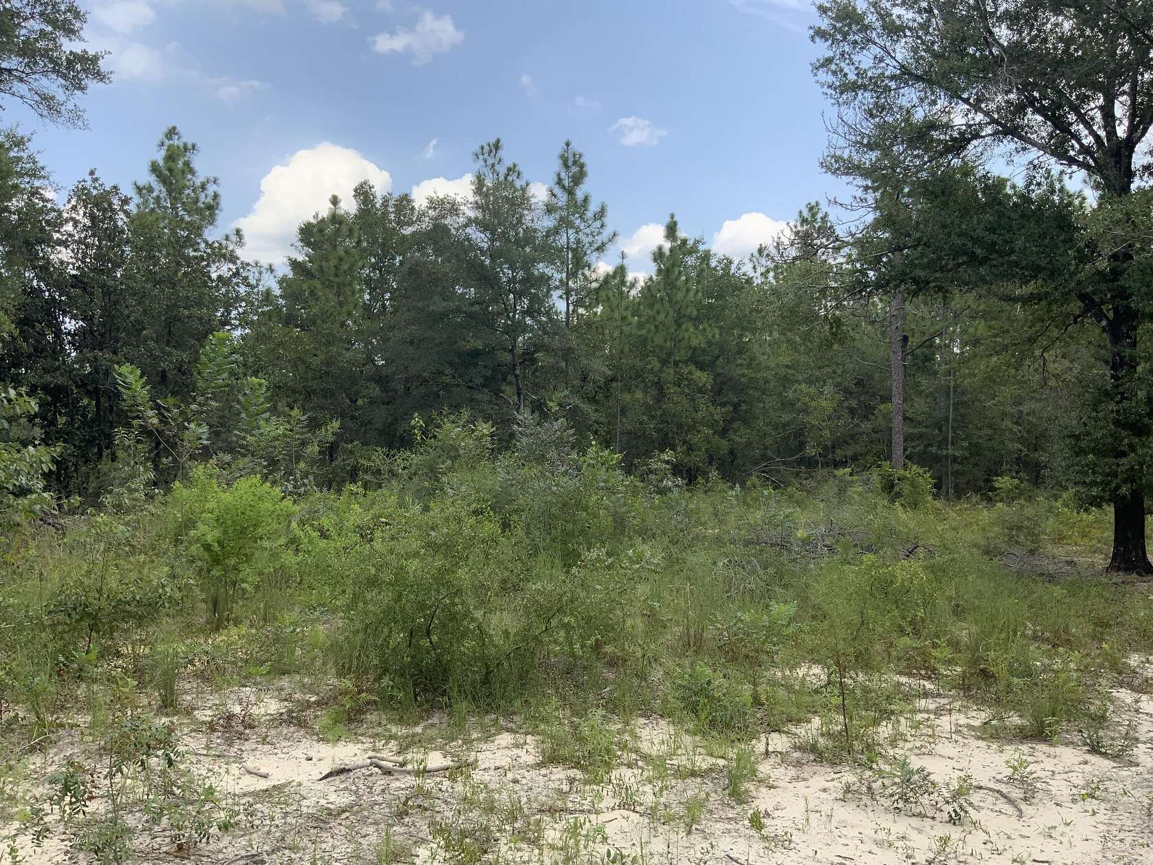 1.25 Acres of Land for Sale in DeFuniak Springs, Florida