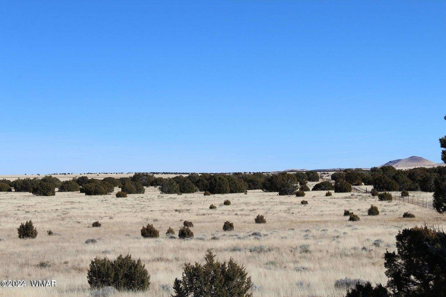 2.18 Acres of Residential Land for Sale in Concho, Arizona