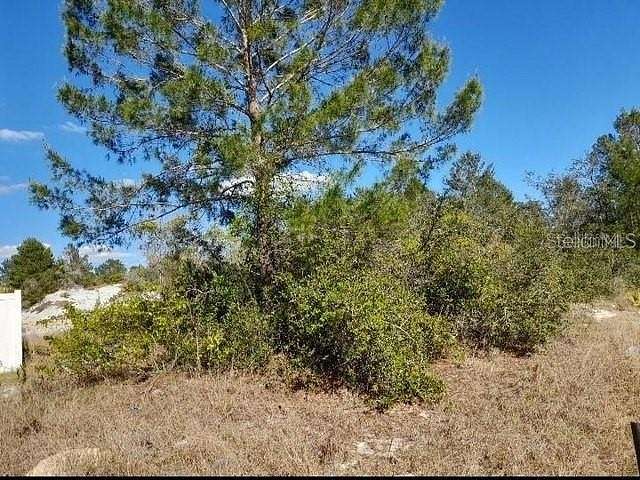 0.31 Acres of Residential Land for Sale in Kissimmee, Florida