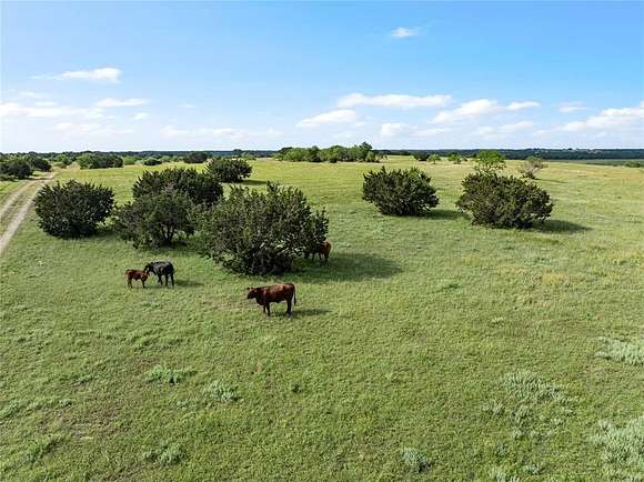 62.25 Acres of Agricultural Land for Sale in Valley Mills, Texas