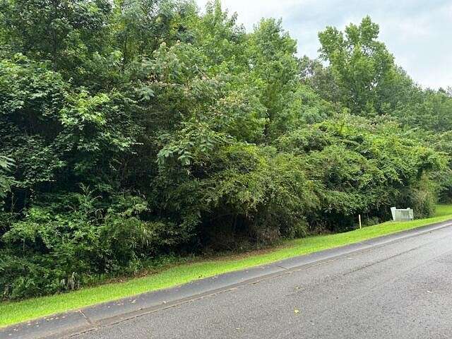 Residential Land for Sale in Winfield, Alabama