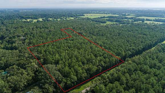 11.91 Acres of Recreational Land for Sale in Alachua, Florida