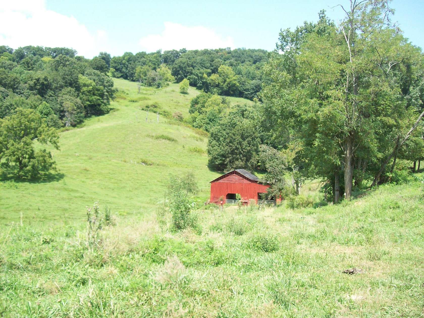 42.245 Acres of Recreational Land & Farm for Sale in Tazewell, Tennessee