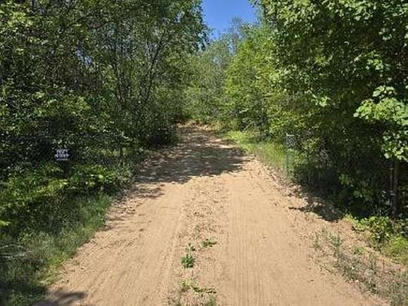 38.5 Acres of Recreational Land for Sale in Athelstane, Wisconsin