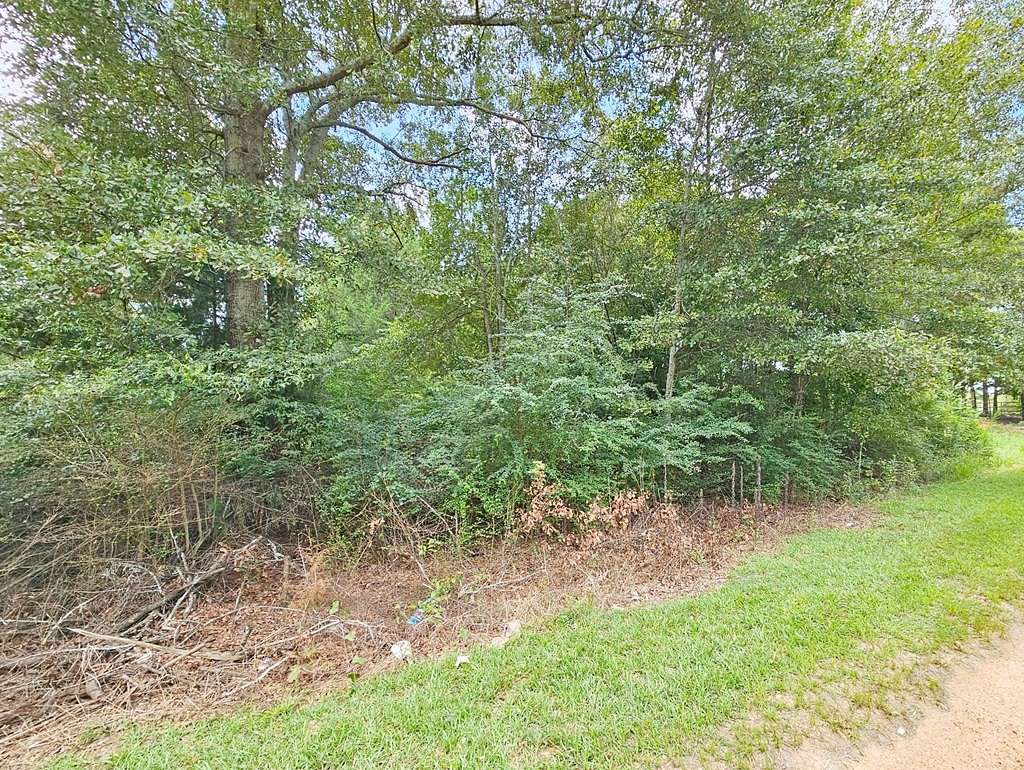 5.81 Acres of Residential Land for Sale in Americus, Georgia