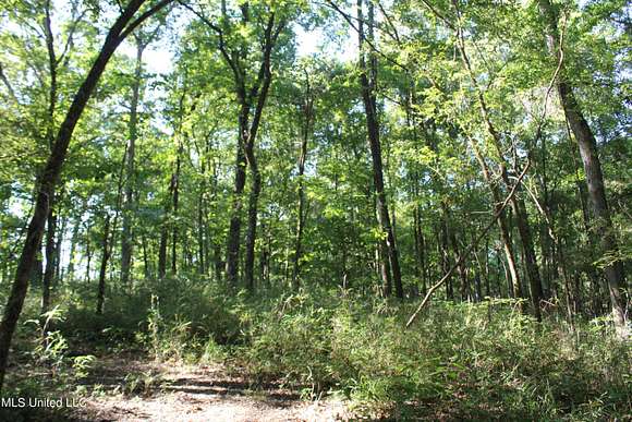 6.4 Acres of Residential Land for Sale in Hernando, Mississippi