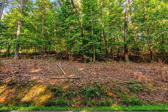 0.43 Acres of Residential Land for Sale in Ellijay, Georgia