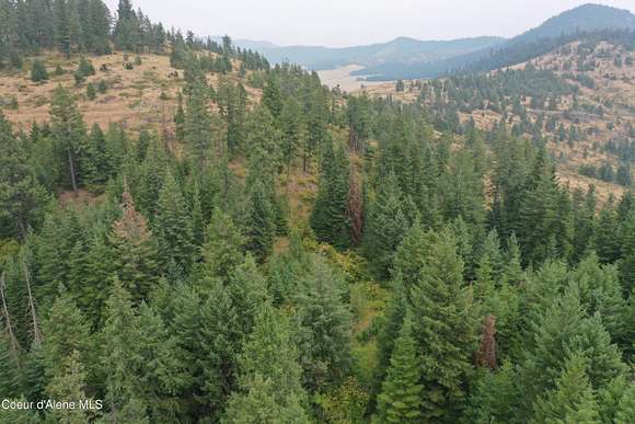 10 Acres of Land for Sale in Plummer, Idaho