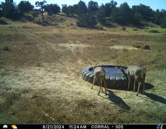 6,853.62 Acres of Improved Land for Sale in Quemado, New Mexico