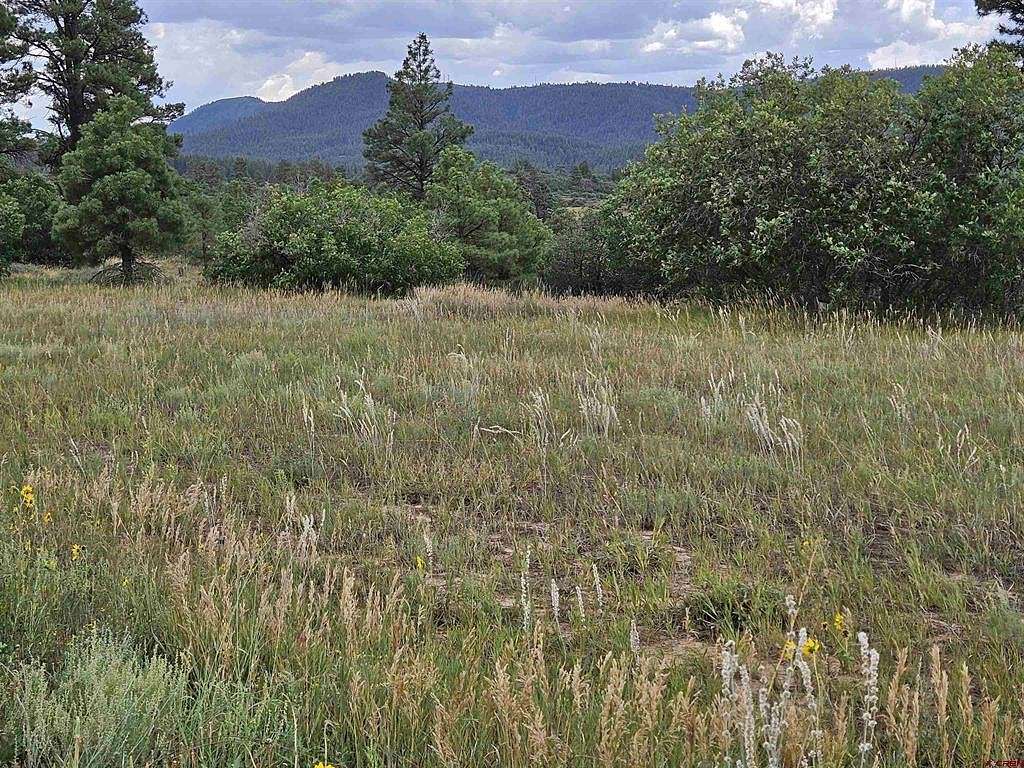 0.23 Acres of Residential Land for Sale in Pagosa Springs, Colorado