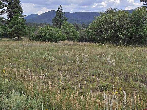 0.23 Acres of Residential Land for Sale in Pagosa Springs, Colorado