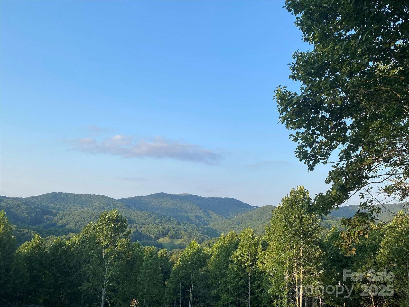 2.45 Acres of Residential Land for Sale in Mars Hill, North Carolina