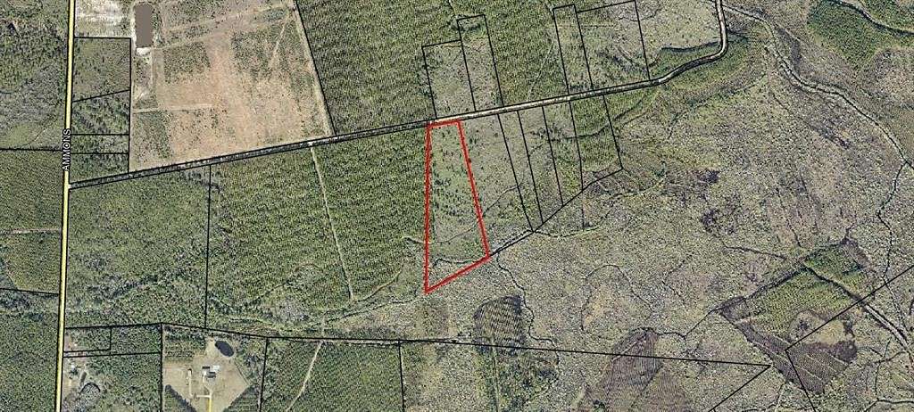 12 Acres of Recreational Land for Sale in Waycross, Georgia