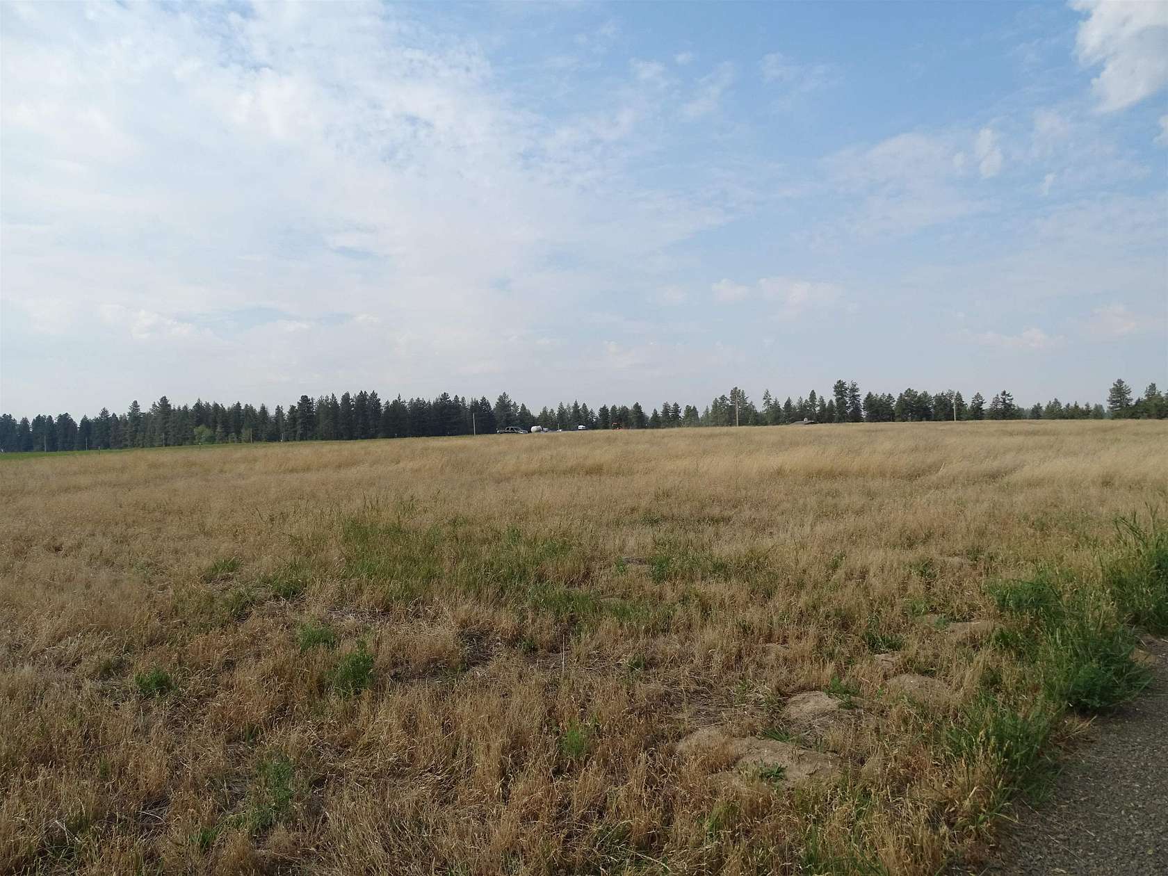 10.01 Acres of Land for Sale in Chattaroy, Washington