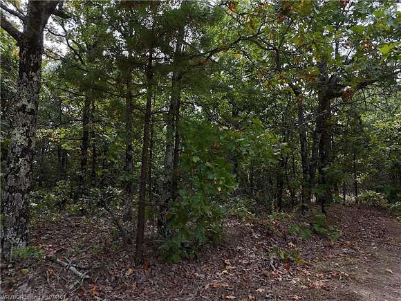 10 Acres of Land for Sale in McCurtain, Oklahoma