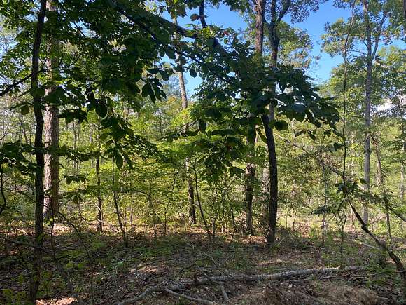 10 Acres of Recreational Land for Sale in Van Buren, Missouri