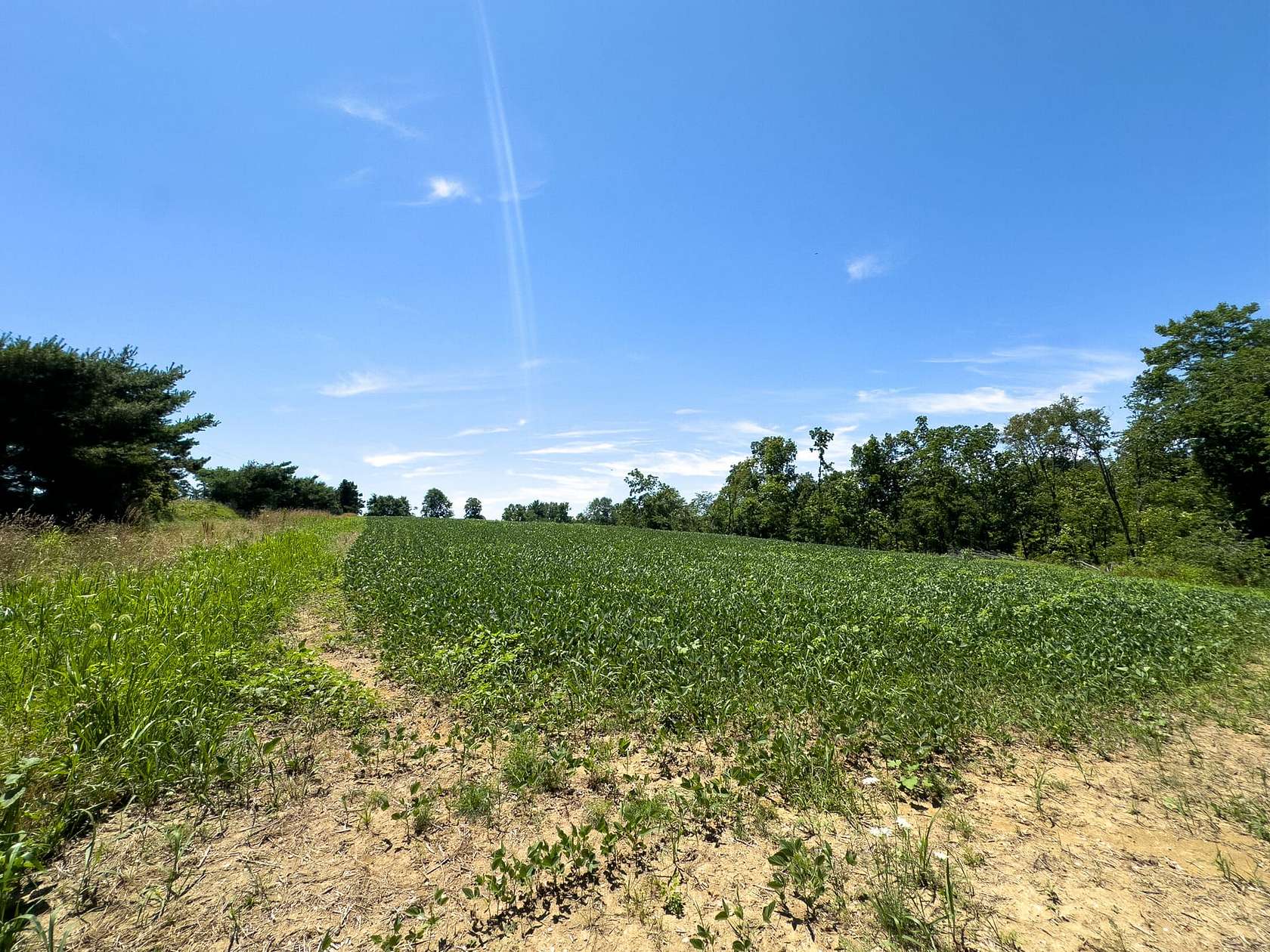 3 Acres of Residential Land for Sale in Hopewell, Ohio