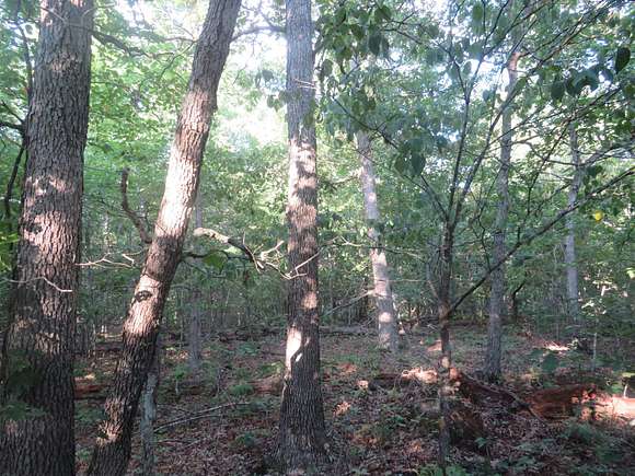 100 Acres of Recreational Land for Sale in Reynolds, Missouri