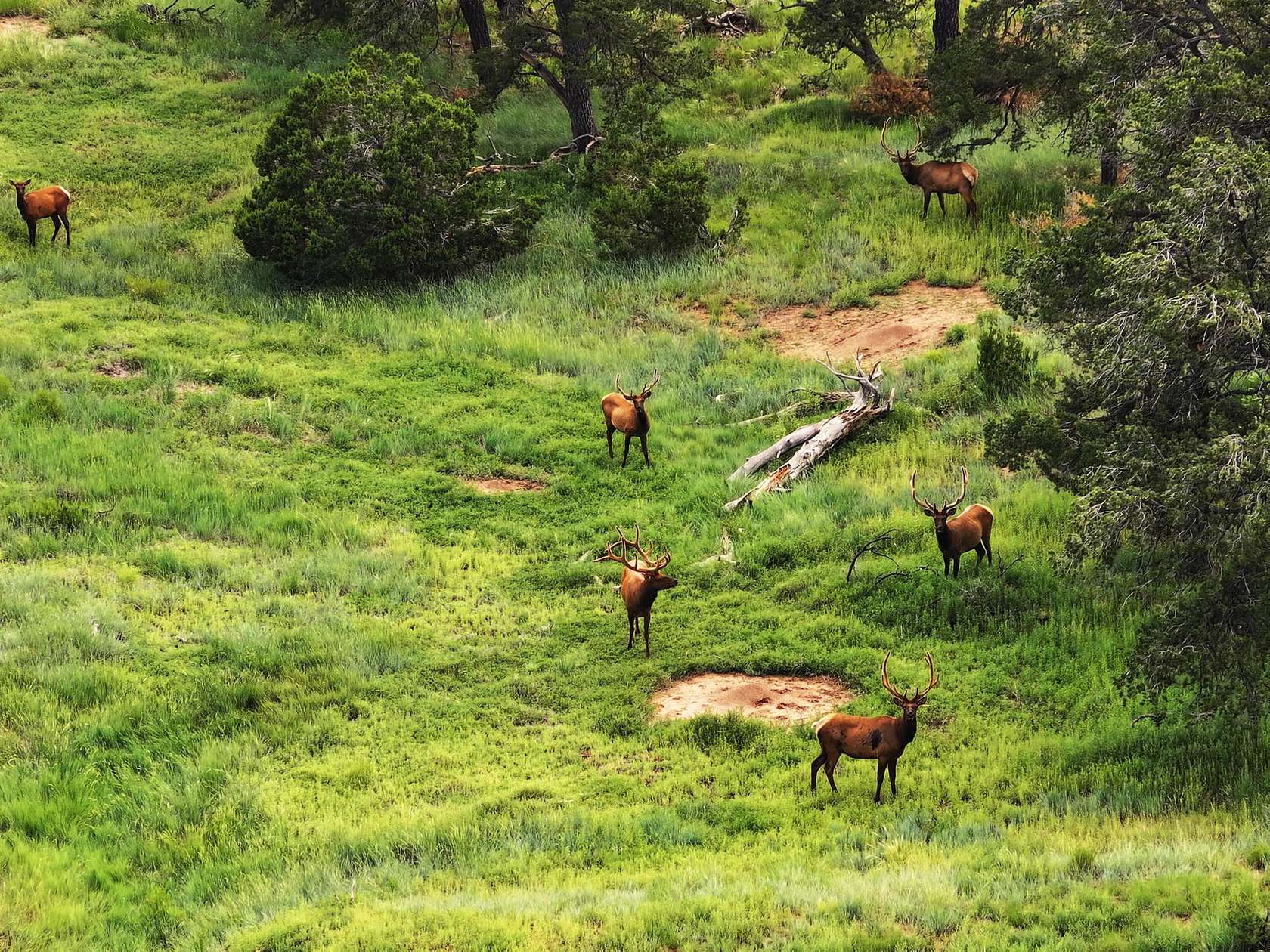 1,973 Acres of Recreational Land & Farm for Sale in Las Vegas, New Mexico