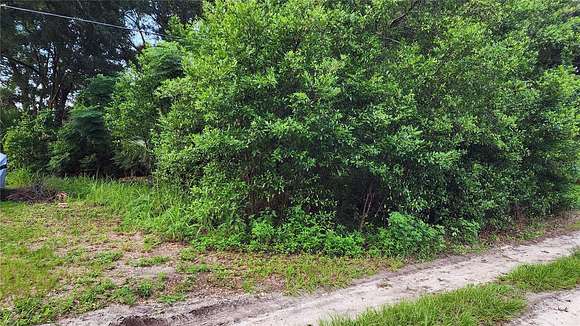 0.21 Acres of Residential Land for Sale in Mount Plymouth, Florida