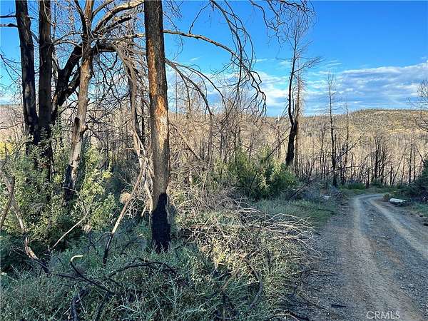 7.37 Acres of Land for Sale in Berry Creek, California