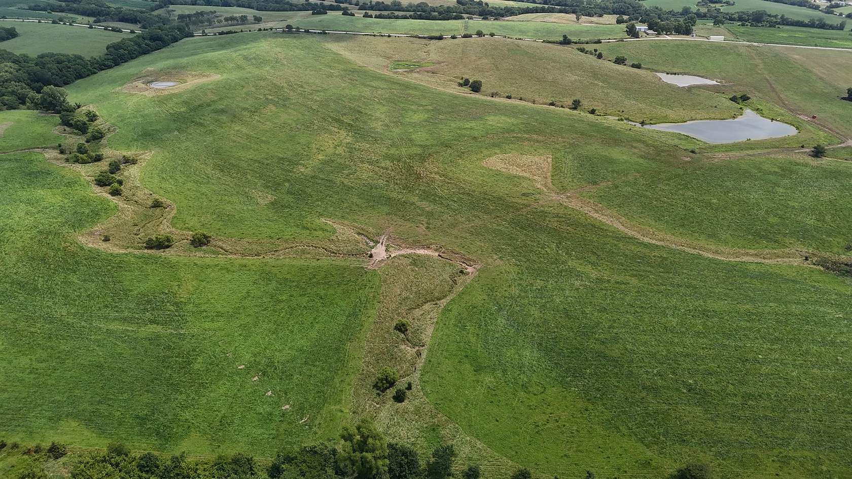 160 Acres of Agricultural Land for Auction in Grand River, Iowa