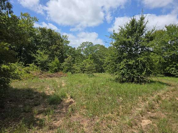 20 Acres of Land for Sale in Atoka, Oklahoma