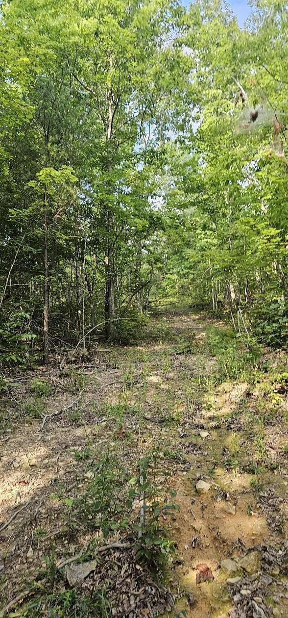 21 Acres of Agricultural Land for Sale in Pikeville, Tennessee