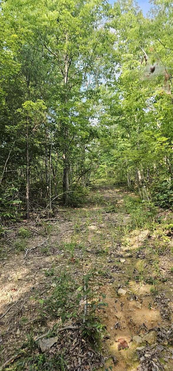 21 Acres of Land for Sale in Pikeville, Tennessee