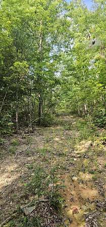 21 Acres of Land for Sale in Pikeville, Tennessee