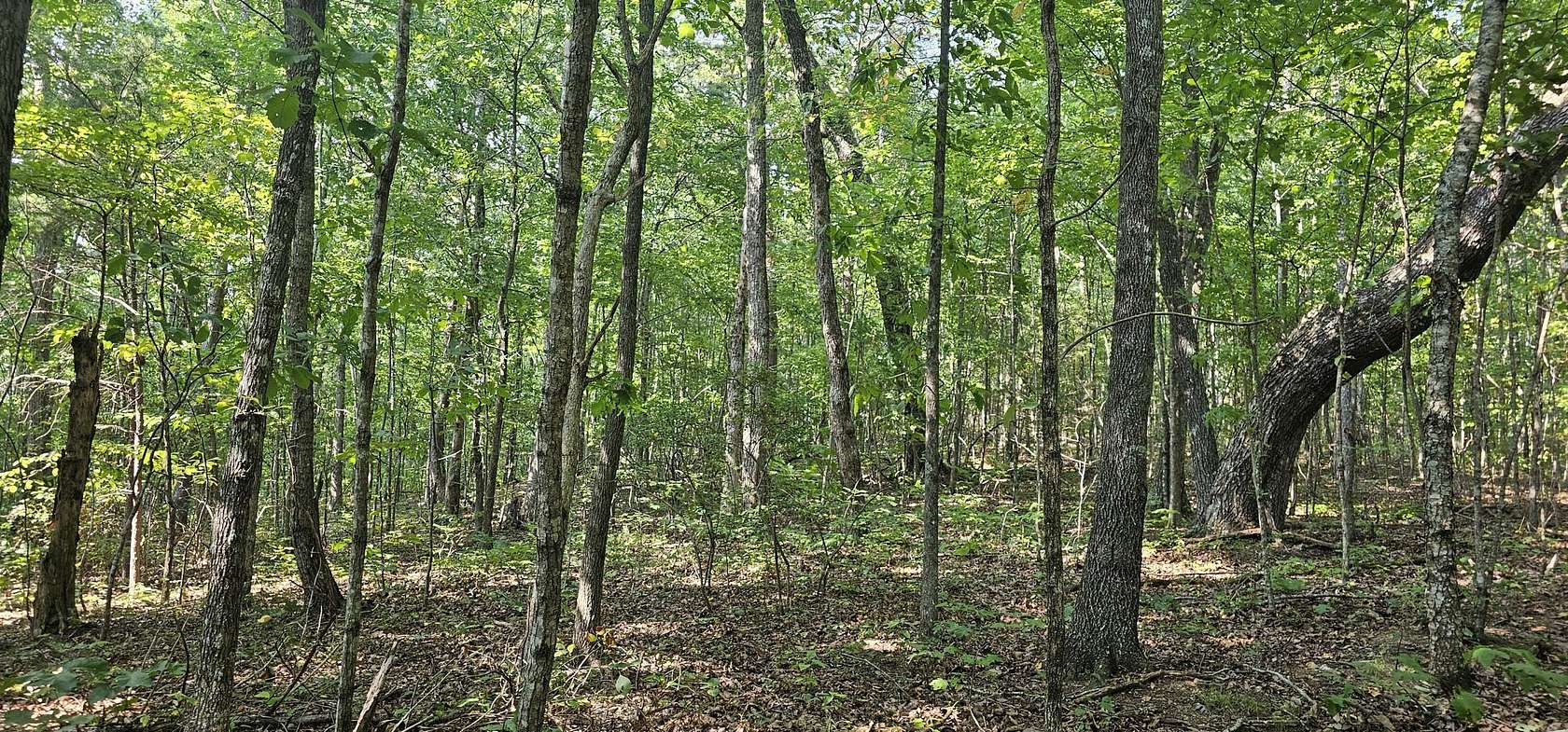 10.5 Acres of Land for Sale in Pikeville, Tennessee