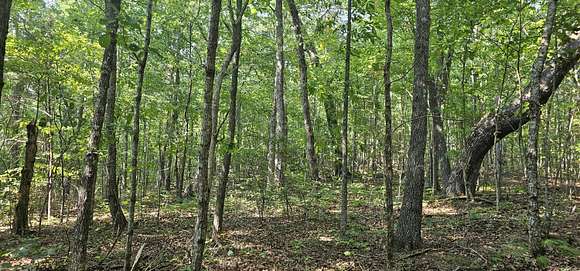 10.5 Acres of Agricultural Land for Sale in Pikeville, Tennessee