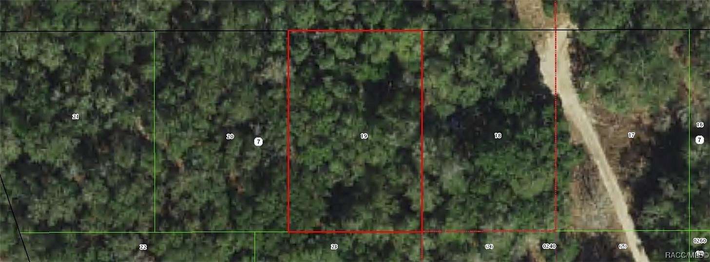 0.22 Acres of Residential Land for Sale in Inverness, Florida