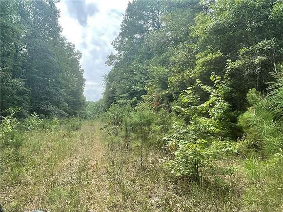 40 Acres of Recreational Land for Sale in Cecil, Arkansas