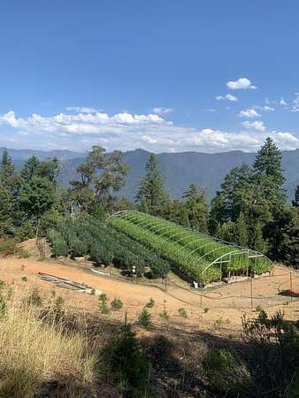 138 Acres of Land for Sale in Willow Creek, California